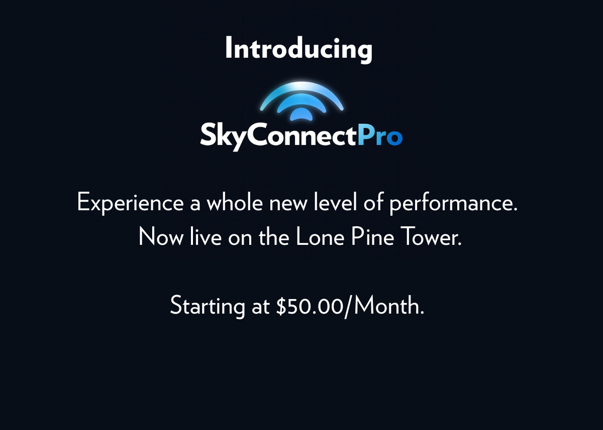 SkyConnect Pro